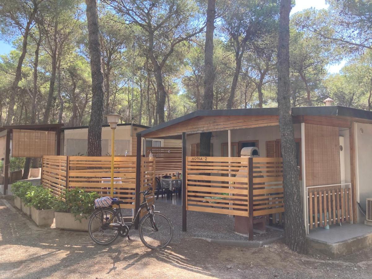 Riva Dei Greci Camping Village 梅坦蓬托 外观 照片