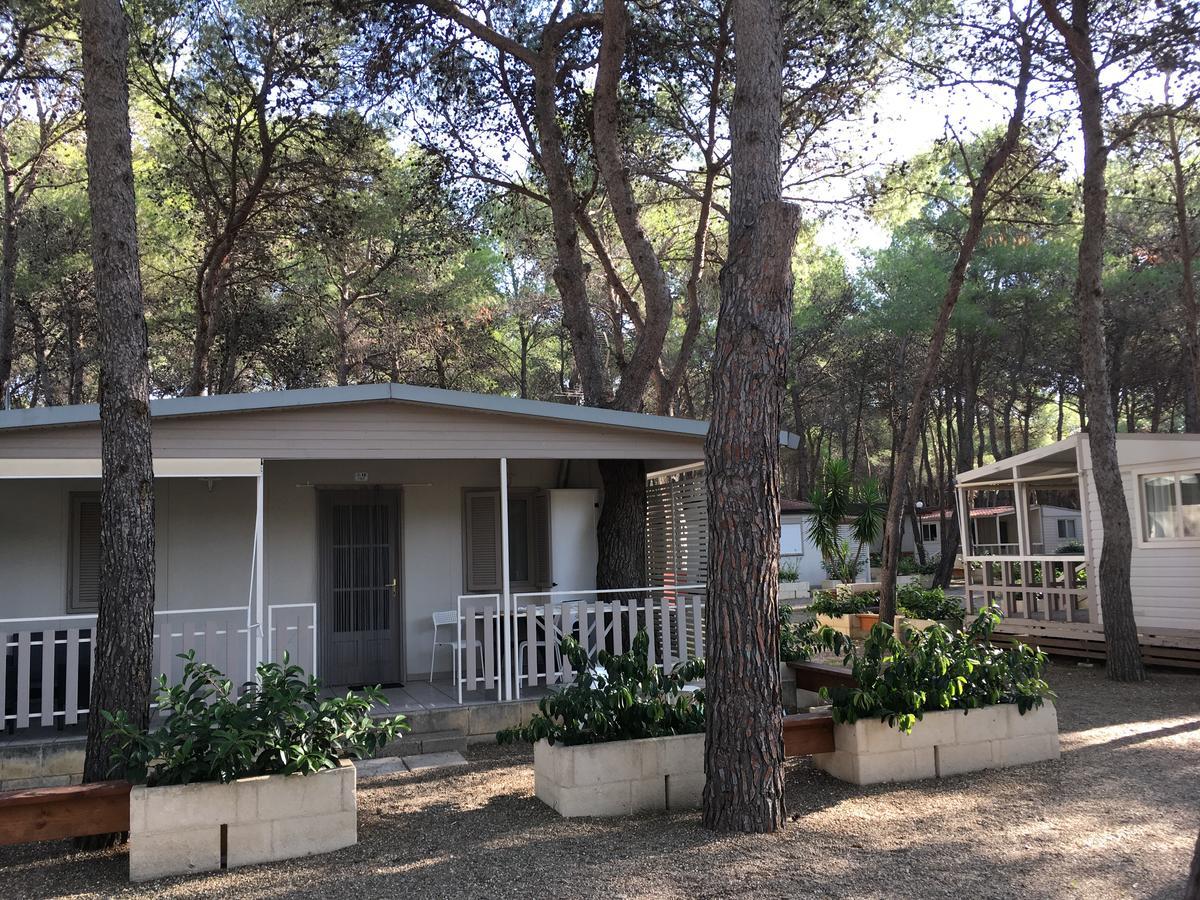 Riva Dei Greci Camping Village 梅坦蓬托 外观 照片