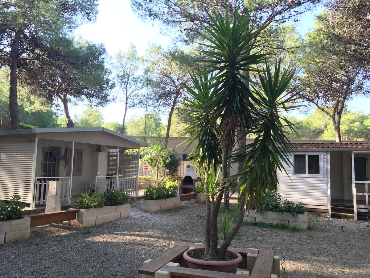 Riva Dei Greci Camping Village 梅坦蓬托 外观 照片